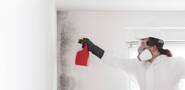 Mold Removal and Inspection in Akron, CO